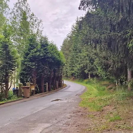 Forest In Old Toll House Family Friendly