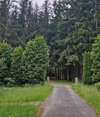 Forest In Old Toll House Family Friendly Apartment
