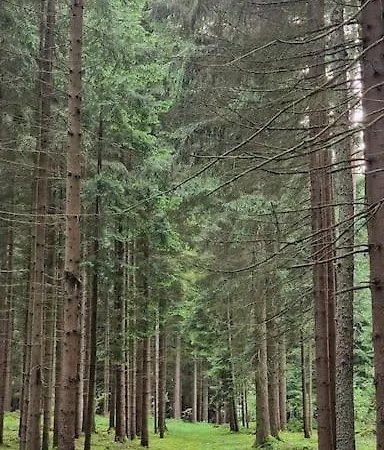 Apartment Forest In Old Toll House Family Friendly