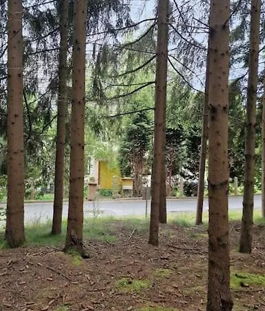 Forest In Old Toll House Family Friendly Apartment
