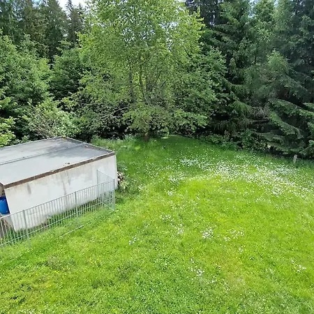 Forest In Old Toll House Family Friendly * Rehau